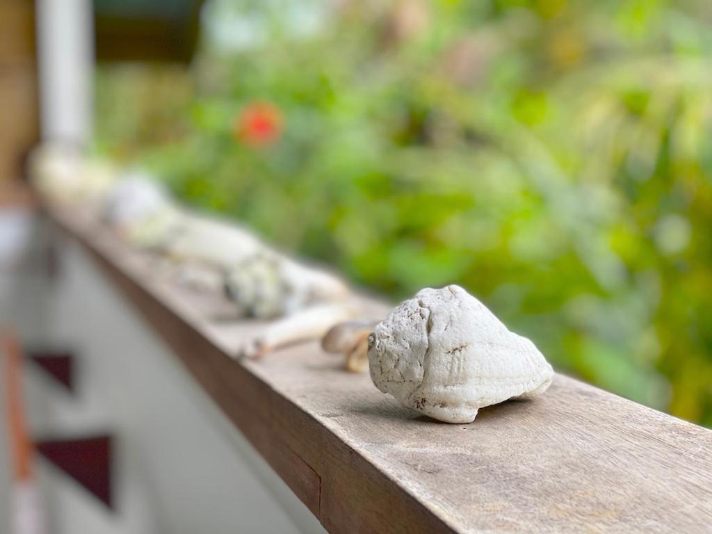 Bird Island Bungalows Bocas del Toro Exterior photo